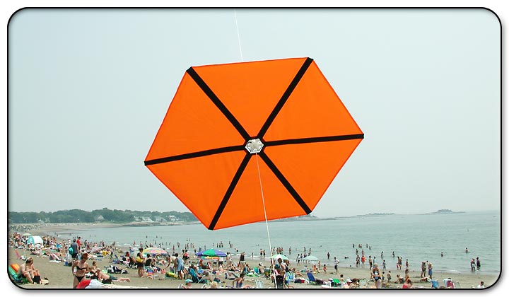 Kite Festival at Devereux Beach.